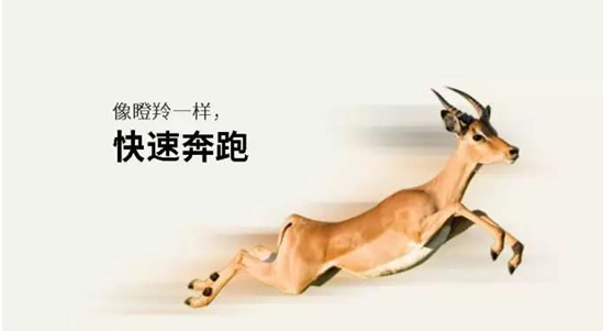 圖片.png 圖片.png